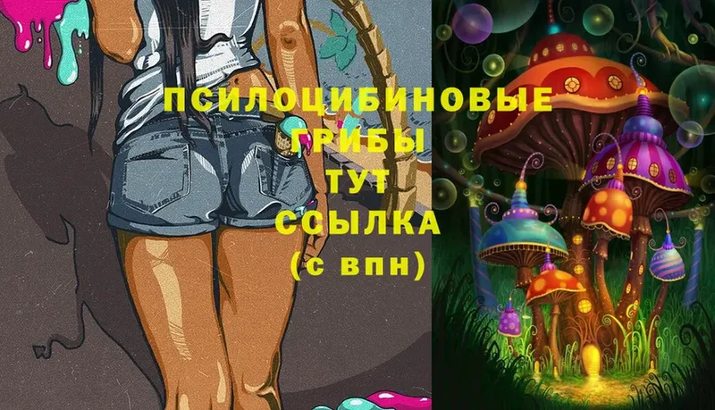 Галлюциногенные грибы Magic Shrooms  Власиха 